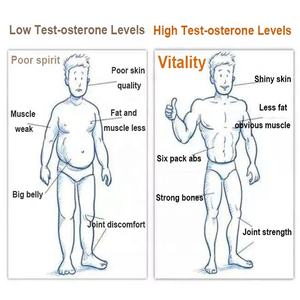 OEM ODM tester-osteron booster pria Natural Test-osterone kapsul - Product Image 3