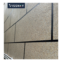 Peinture murale en marbre pulvérisable de Foshan, revêtement décoratif pour murs extérieurs en pierre