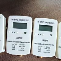 Compteur d'eau ultrasonique DN15-DN40 Classe 2 GB/T778 IP68 NB-IoT LoRaWAN Compteur intelligent