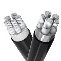 Kabel Daya Berlapis Baja YJLV/VLV22 Inti Aluminium 1/2/3/4/5 Inti 10mm² Pemasangan Udara & Bawah Tanah