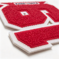 Écussons brodés en chenille personnalisés, style universitaire, effet pelucheux, thermocollants, type serviette, badges logo pour vêtements, chapeaux, sacs, uniformes
