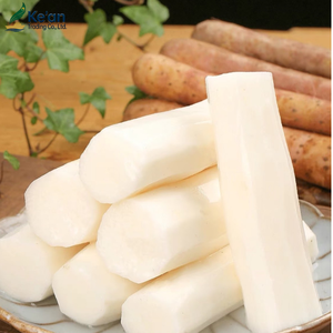 Tranches de Yam chinois - Médicament chinois à base de plantes pur et naturel - Tranches séchées de Tiegun <span class=keywords><strong>Shan</strong></span> <span class=keywords><strong>Yao</strong></span> utilisées pour la préparation de soupes et de thés - Product Image 1