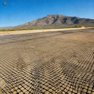 แผ่นตาข่ายเสริมแรงสองแกนความแข็งแรงสูงสำหรับงานก่อสร้างทางรถไฟ กำแพงกันดิน และทางรถวิ่ง ผลิตจากโพลีโพรพิลีน ยี่ห้อ Glory Bridge <span class=keywords><strong>TGSG</strong></span> - Product Image 1