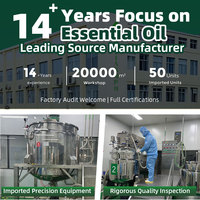 Huiles parfumées naturelles pour la fabrication de parfums, échantillon gratuit 10-20 ml, provenant de l'usine chinoise.