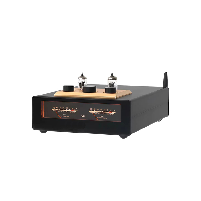 D325J PRO Audiophile-grade Blue-tooth Hifi Tube 5654 High-power TPA3255 Digital Power Amplifier