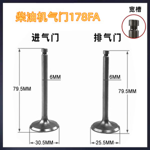 Tige de soupape d'admission et d'échappement pour moteur diesel modèle 173, pièces pour mini-cultivateur et générateur - Product Image 3