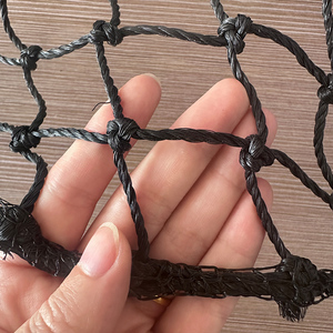 Cheap Range Mesh <strong>Net</strong> Chicken Fence <strong>Plastic</strong> <strong>Net</strong> Nylon Poultry Netting for Chicken Fence Farm Floor - Product Image 6
