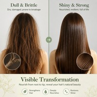 Huile capillaire professionnelle roll-on pour soins des cheveux, format voyage, application précise sur le cuir chevelu, renforcement des racines, soin des pointes fourchues