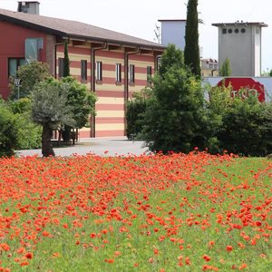 Farine de blé tendre tout usage biologique Antico Molino Rosso 1 kg, moulinage en cylindre, farine sèche pour pain au levain, pizza, emballée - Product Image 5