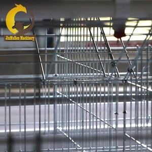 Jinmuren automatico di tipo A e di tipo H pollo strato gabbia di batteria gabbia utilizzato <span class=keywords><strong>in</strong></span> allevamento di pollame - Product Image 6