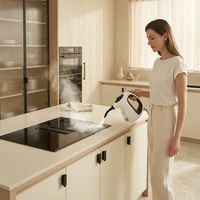 Nettoyeur Vapeur Instantané Portable 9 Pièces - Prise EU - Haute Puissance 1200W - Grand Réservoir 500ml - Chauffage Rapide en 20s - Vapeur Pressurisée