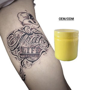 Crema para Tatuajes de la Mejor Calidad, 500G, Piel Sintética para Prácticas de Tatuaje y Laminación de Cejas, Paquete de Pigmentos para Maquillaje Permanente - Product Image 5