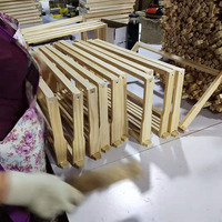 Cadres d'apiculture filtrantes pour la ruche, vente en gros, livraison gratuite