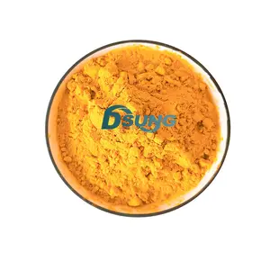 Hoogwaardige Plant Extract Curcumine Poeder Curcumine Kurkuma Extract Curcumine