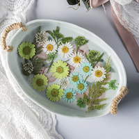 D072 Pack de matériaux DIY, fleurs séchées pressées naturelles et réelles