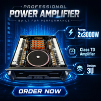 Amplificatore di Potenza Professionale Classe TD a 2 Canali 2X3000W RMS Stereo ad Alta Potenza per Subwoofer, per Sistemi Audio da Palco, DJ e Bar