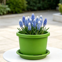 Pot de fleurs en plastique PP durable en gros avec trous de drainage, capacité 14L, style minimaliste moderne pour plantes d'intérieur et d'extérieur, jardin domestique