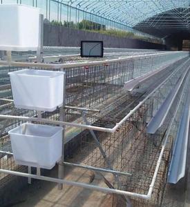 New a-loại Gia cầm Gà pin lồng cho gà trang trại cho lớp quản lý - Product Image 3