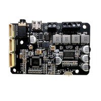Carte amplificateur de puissance DSP BT 5.0 40W*2 Stéréo avec réglage des aigus, prise en charge de la division de fréquence et du logiciel de réglage