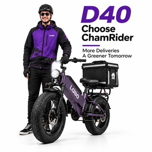 Vélo électrique de travail D40 750W 48V40AH avec porte-bagages 200kg, pneus 20x4.0, charge rapide 7-8H, OEM - Product Image 1