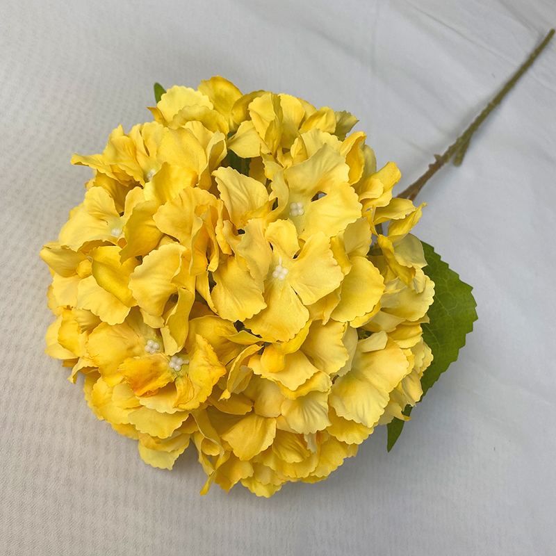 Light Yellow