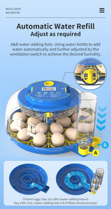 Incubateur à œufs de poulet Wonegg entièrement automatique pour usage domestique, petit modèle, vente en gros - Product Image 6