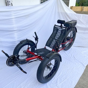 4oem ba bánh xe đạp khác xe đạp nằm xe đạp velomobile chất béo lốp ba bánh - Product Image 1