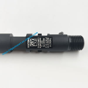 Hochwertiger Diesel-Common-Rail-Kraftstoff injektor A6640170021 EJBR03401D Für Ssangyong Kyron Actyon 2.0 Xdi - Product Image 3