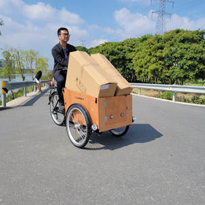 Porte avant ouverte pour chien vélo à trois roues vélo <span class=keywords><strong>cargo</strong></span> <span class=keywords><strong>non</strong></span> électrique moteur 250W vélo <span class=keywords><strong>cargo</strong></span> électrique vélo de livraison - Product Image 1