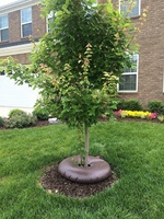 Sac d'arrosage pour arbres en PVC robuste de 20 gallons, à libération lente, résistant aux UV, réutilisable, pour aménagement paysager et pépinière