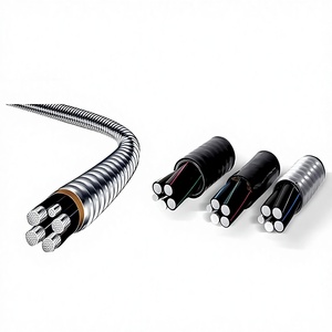 <span class=keywords><strong>สาย</strong></span><span class=keywords><strong>ไฟ</strong></span>ฟ้าอลูมิเนียมอัลลอยด์ PrimePro 0.6/1kV YJLHV22 แบบ 3 เฟส หุ้มเกราะ สำหรับจ่าย<span class=keywords><strong>ไฟ</strong></span>ฟ้า ขนาด 10-500 มม. AA8000 ตัวนำ STA XLPE IP67 - Product Image 1