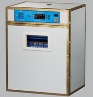 Incubateur d'œufs 160-400 œufs, retournement automatique, contrôle de température constant, machine à couver pour poulets, cailles, canards, usage domestique