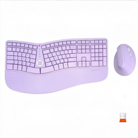 Ensemble clavier et souris sans fil ergonomique DirectorC_2 avec rétroéclairage RGB et repose-poignets pour ordinateur portable - En stock