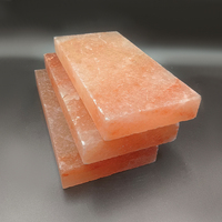 Plaques de sel rose de l'Himalaya, provenant de la montagne de l'Himalaya, pour sauna, service de nourriture