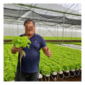 Serres agricoles Hydroponique Gully Agriculture verticale Gouttière Smart Garden NFT Grow - Product Image 1