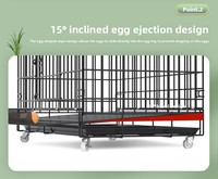 Cage à poules domestique grande capacité pour l'élevage de canards, oies, cailles avec plateau à œufs, installation facile, cage à poules en fer