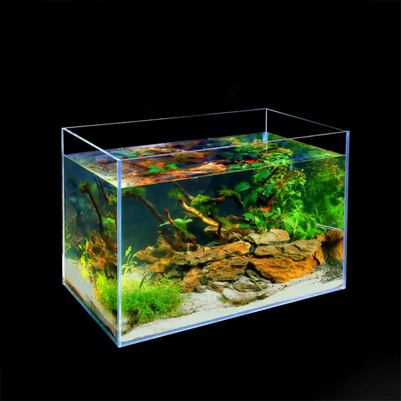 Les échantillons d'aquarium en acrylique peuvent être personnalisés avec différentes formes et motifs d'aquarium en acrylique
