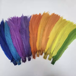 20-25cmシルバーキジの羽染めカラフルなシルバーキジの羽装飾用 - Product Image 6