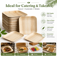 Assiettes jetables durables en feuilles de palmier, vaisselle naturelle en gaine d'arec pour restaurant ou usage domestique