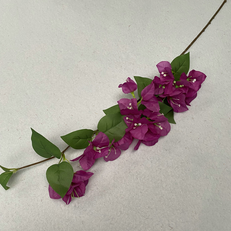 Violet Petit # 4
