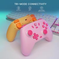 Manette de jeu filaire/sans fil GameSir Nova Lite 2.4G avec déclencheurs à effet Hall, verrouillage, faible latence 1000Hz, polling 1000Hz, RGB, pour le cloud gaming et les voyages