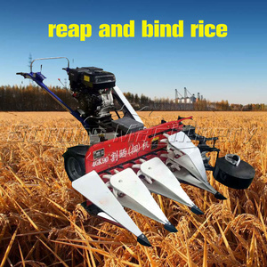 Lúa Mì Reaper chất kết dính Paddy Reaper <span class=keywords><strong>Rice</strong></span> Reaper chất kết dính giá gạo nhà nhập khẩu Paddy gạo Cutter gặt đập máy - Product Image 4