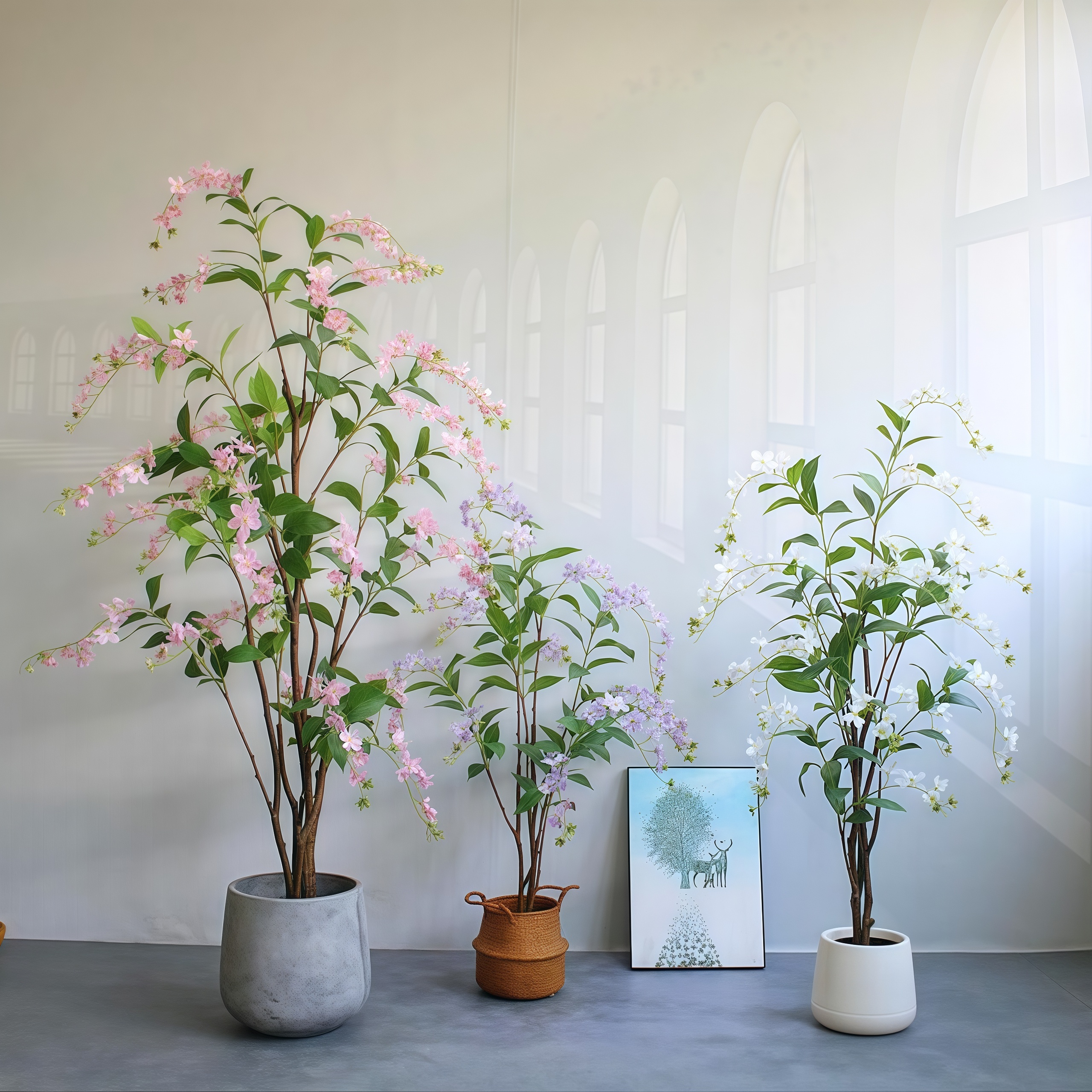 buy zz plant uk ZZ Plant | Low Light Indoor Plant | Easy Care Houseplant