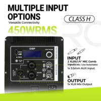 Module amplificateur de puissance RQSONIC APD 450W classe H bi-ampli pour enceinte active 15 pouces avec DSP