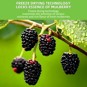 マルベリーフルーツパウダーエキス卸売価格スプレードライマルベリーパウダーインスタントマルベリージュースパウダー - Product Image 4
