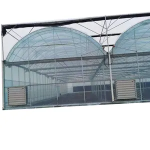 Invernadero inteligente Multi-Span para cultivo sin suelo con sistema de refrigeración