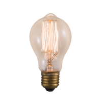 Lampe suspendue, ampoules incandescentes antiques 40W 60W A19 A21 A23, ampoule Edison à filament de tungstène vintage transparente pour décoration de café