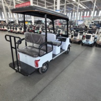 Vehículo Eléctrico de Cuatro Ruedas en 2025 Utilizado por Adultos, Scooter Eléctrico, Triciclo de 4 Ruedas, Mini Carrito de Golf