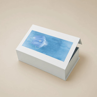 Boîte à livre magnétique personnalisée avec grand insert en mousse argenté et insert sur mesure pour coffret de soins de la peau pour emballage de sérum et cosmétiques