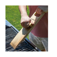 Grattoir à charbon de bois pour barbecue Cuisinart